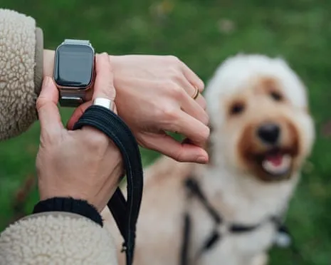 The Honest Scoop Regarding Smartwatches? Daily Existence Is Better Without a Hectoring Gadget on Your Wristwear